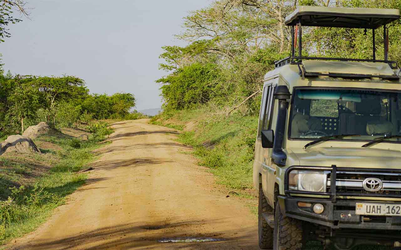 Highlights on a Classic Uganda Safari