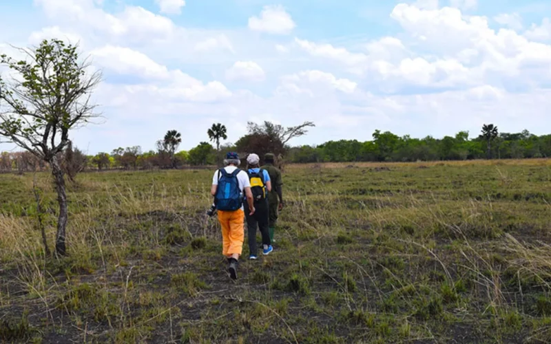 Mountain Hikes on Mgahinga