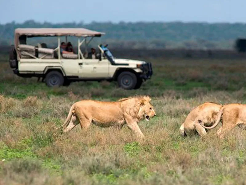 Kidepo Valley National Park