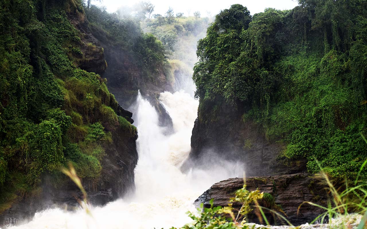 The Murchison Falls